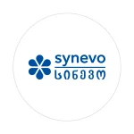 Optimización SEO 6 საიტის დამზადება — INFINITY-ს სერვისი